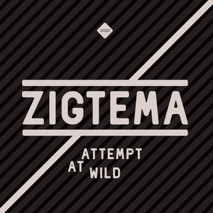 Attempt at Wild