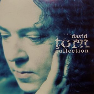 The David Torn Collection