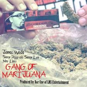 Gang Of Marijuana (feat. Mac Lucci) - Single