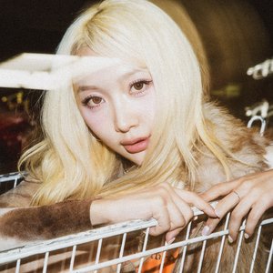 Melonii 的头像