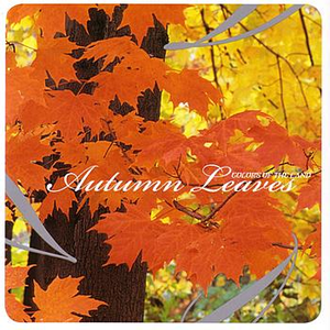 Clint Mansell - Autumn Leaves - Zortam Music