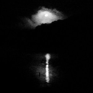 Windark 的头像