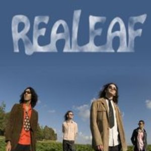 Realeaf 的头像