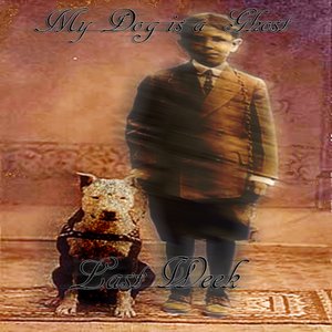 My Dog is a Ghost 的头像