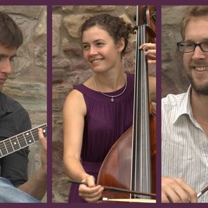 “The String Contingent”的封面