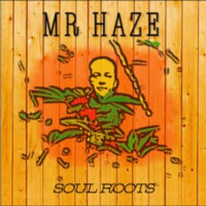 Mr Haze Dub Project のアバター