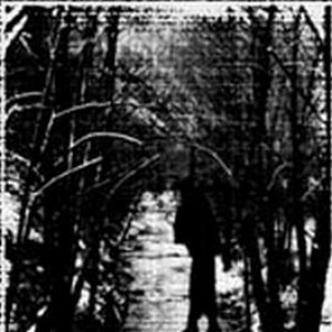 Suicidio In Una Foresta Dimenticata