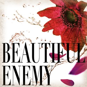 BEAUTIFUL ENEMY