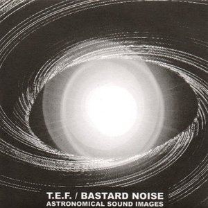 Awatar dla T.E.F. / Bastard Noise