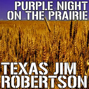 Purple Night On The Prairie