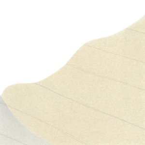言葉の庭