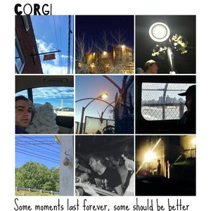 Corgi 的头像