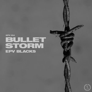 BULLET STORM