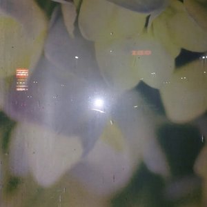 all light hits u 的头像