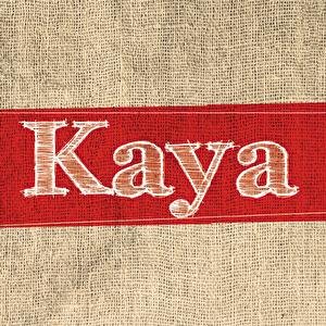 Kaya