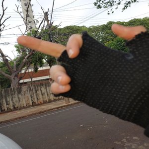 a vida é difícil e meu gato sabe disso - Single