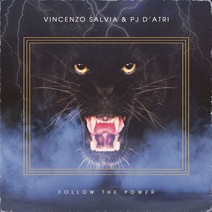 Follow The Power