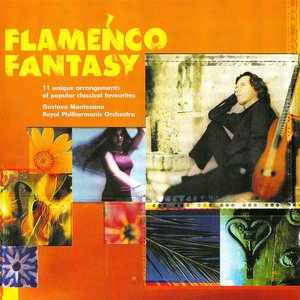 Flamenco Fantasy