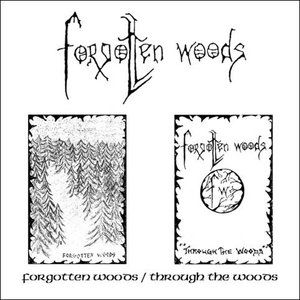 Forgotten Woods / Through the Woods
