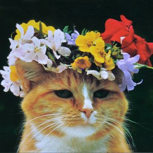 Jotakin jännittävää / Jostain muusta syystä surullinen