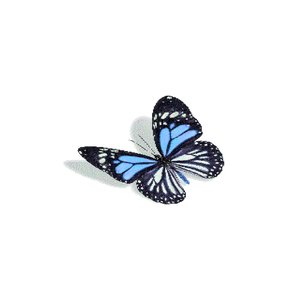 'Butterfly Tetrad' için resim