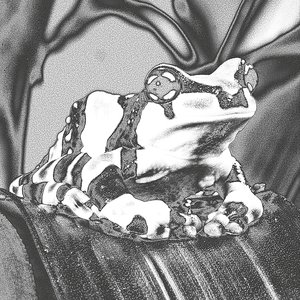 Resinifictrix Trachycephalus 的头像