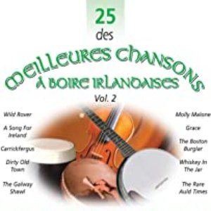 25 des Meilleures Chansons à Boire Irlandaises, Vol. 2