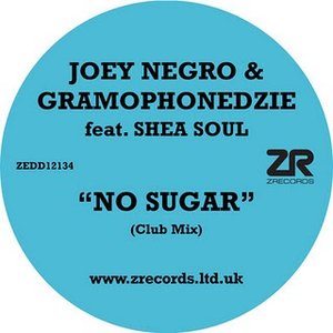 Awatar dla Joey Negro & Gramophonedzie feat. Shea Soul