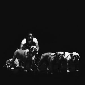 4BULLDOG