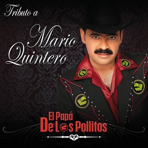 Tributo A Mario Quintero El Papá De Los Pollitos