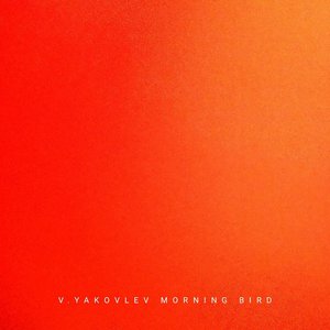Morning Bird