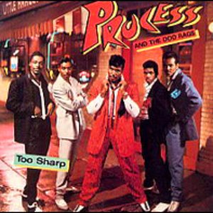Process and The Doo Rags 的头像