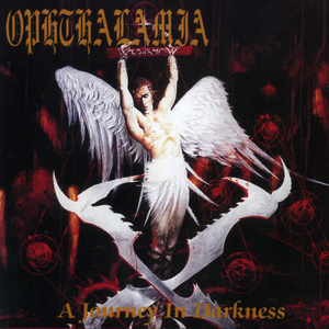 A Journey in Darkness cover