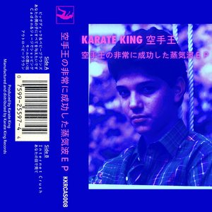 空手王の非常に成功した蒸気波ＥＰ