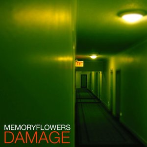 Damage