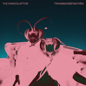 Transmogrification