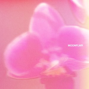 Moonflwr