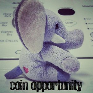 Coin opportunity 的头像