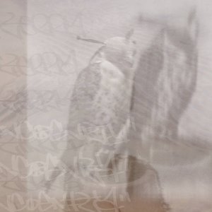 TERRA INCOGNITA: Book Two