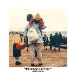 Shirin David - Fliegst Du mit - Zortam Music