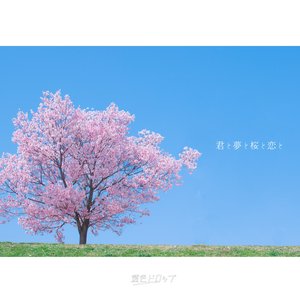 君と夢と桜と恋と