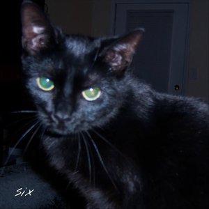 Six [Explicit]