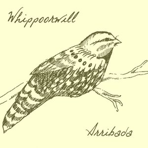 Whippoorwill