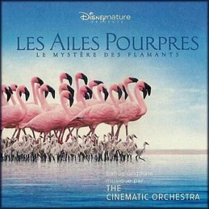 Image for 'Les Ailes Pourpres'