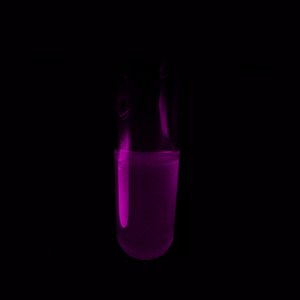 Dark Science [Single]