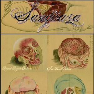 Sangüaza 的头像