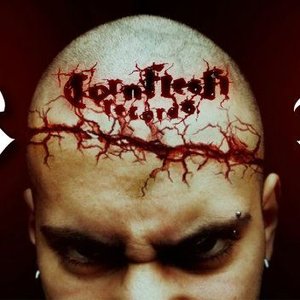 Torn Flesh Records 的头像