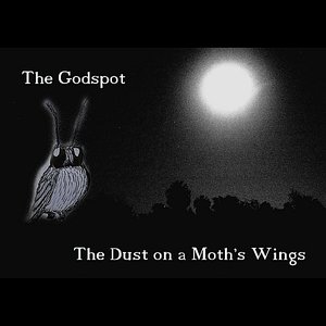 The Dust On a Moth's Wings