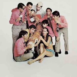 El Afrocombo 的头像