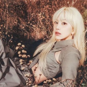 Avatar for Son Chaeyoung